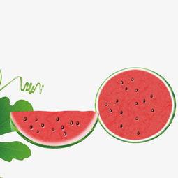 娱乐吃瓜酱贴纸图片高清